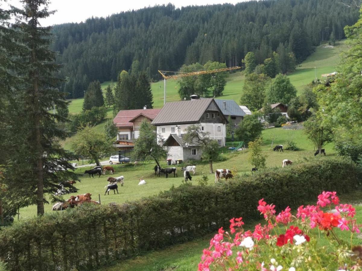 Ferienwohnung Dachstein Mountainview Gosau Exterior foto
